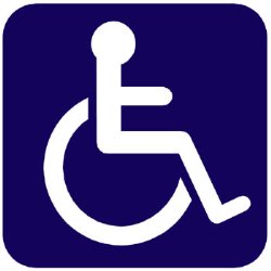 پای لنگ قانون جامع حمایت از معلولان